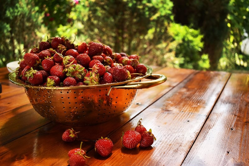 Collapsible Colander